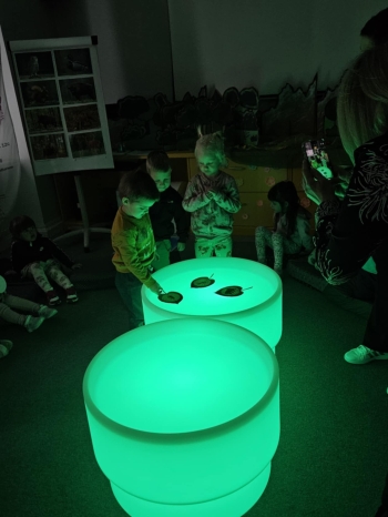 3a031d80-bc99-46db-bffe-b37cb717ada6