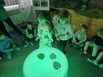 186d1f79-3023-4d4f-89b4-b1ff692bf01c