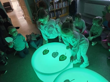 959f8802-e181-44e3-a602-23dd8d85f89e