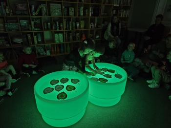 bada99fc-85a3-4a01-8966-00c6e9c2f12d