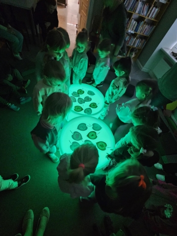 ef1d015c-0da7-47e7-a5f8-f44ad80a78a8