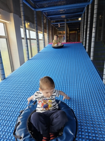 16736376-b621-466b-a4a4-3b73bf0ea400