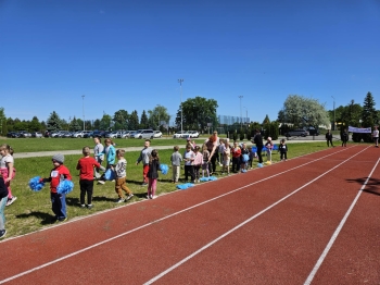 306b8be3-82b5-4756-86ca-abd59100d8bd