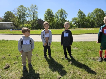 d2b1ecf8-c34c-4b13-a94c-a78a36414db1