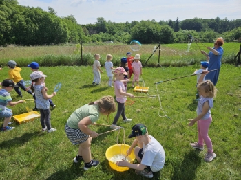 c4300712-0c76-4941-bd50-33a3c7d738ac