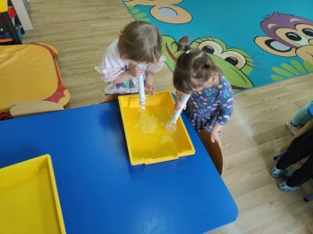 91ca2d92-a391-4c63-ae0b-a02a57e12fb9