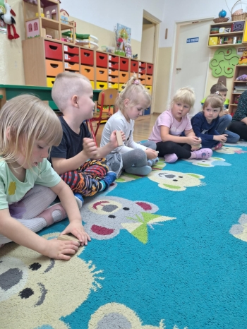 7367ca77-b02f-460e-9956-fbb8f99d1e25