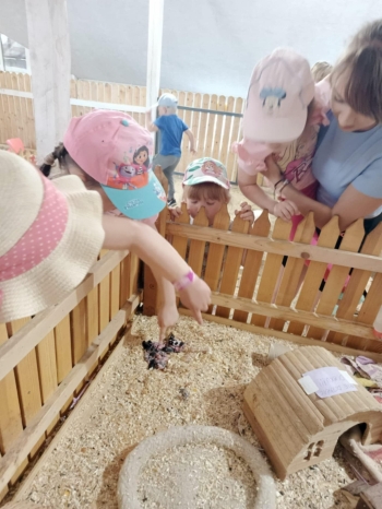 2d68682c-9525-477f-b1e0-1f31bb0f615f