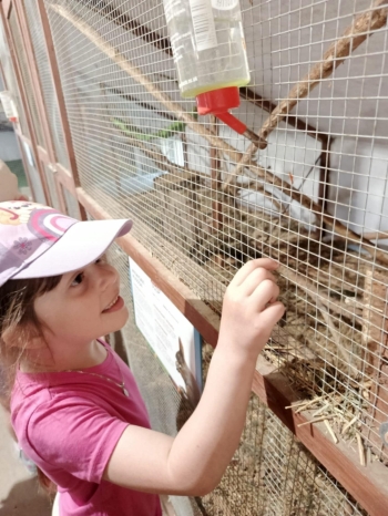 87cef65a-6579-4a94-9011-4b1c21da42e0