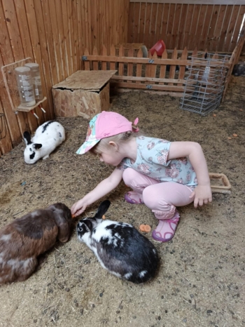 7333a564-07fd-445b-b8f6-82a5c5286ed4