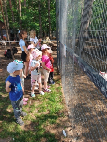 0125874f-4930-4f95-a4c5-a48baab38659