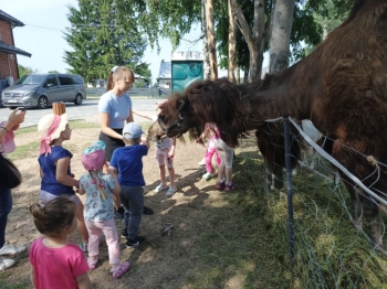 a1f0f56a-5d94-4d0b-8853-edd043f93325