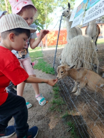 ded458a7-dd9a-4dd4-8075-91ef1ed52fda