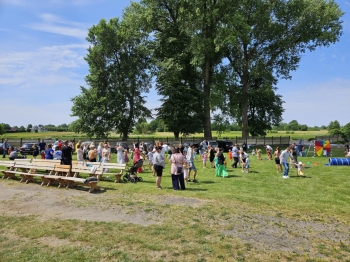 2c9831f2-348d-44d7-b49b-70d22c132fc6