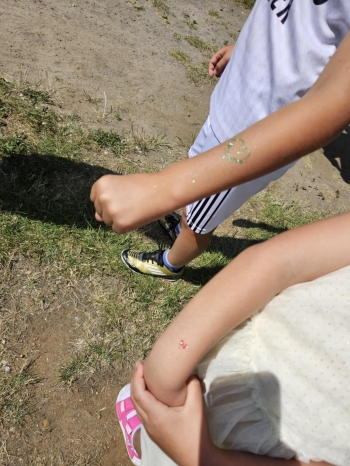 3ed2a908-a803-4075-9f06-b1bb09e7c647