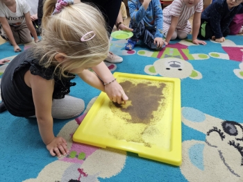 9cfd71e1-01f8-4a95-a3d9-77308cc4d7d0