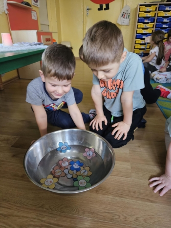 2f7488d0-6e80-4949-a967-fbc09d66052b