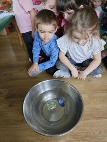 1f61f5fe-0f79-4831-846b-54d6c0e35e5e