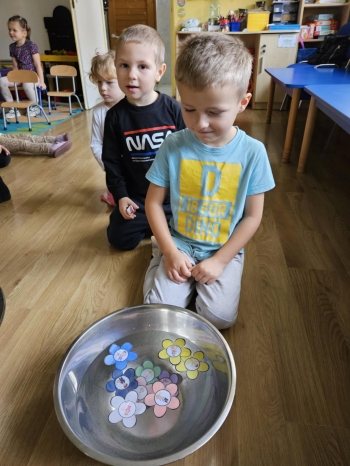 411afc9d-32b7-49ff-a4c0-9281aa610924