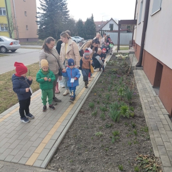 1d21c8fd-307a-478e-91ab-faa0c7e5ce82