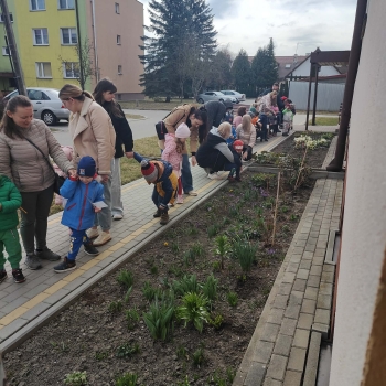 21fa219b-2718-4f38-9d14-ffd4862dc5b3