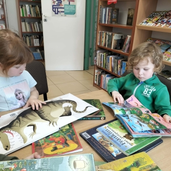 363bc886-90b5-4b67-ab27-77bdd3acf09e