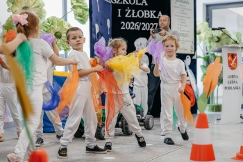 zdjecie-291