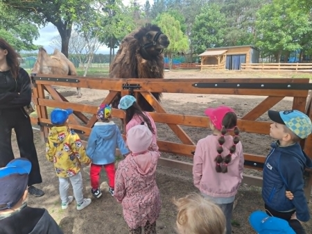 Wycieczka do Mini Zoo
